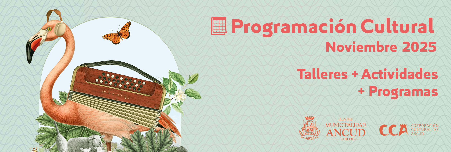 PROGRAMACION nov 258