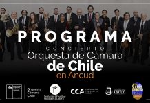 Programa Concierto Orquesta de Cámara de Chile